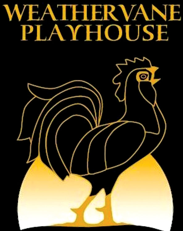 Weathervane Playhouse For Discount