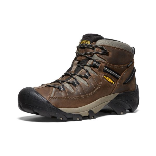 Targhee II Mid Discount