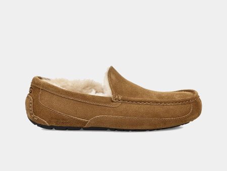 Ascot Suede Hot on Sale