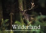 Andrew Fusek Peters: Wilderland, Wildlife and Wonder from the Shropshire Borders [2016] hardback Online