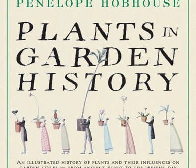 Penelope Hobhouse: Plants in Garden History [2004] paperback Discount