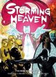 Frazer Irving: Storming Heaven [2007] paperback Cheap