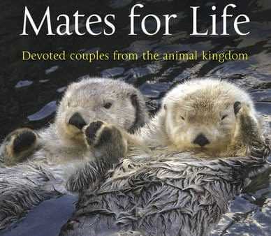 Press Ammonite: Mates for Life [2011] paperback For Sale