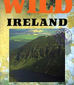 Brendan Lehane: Wild Ireland [2000] paperback For Discount