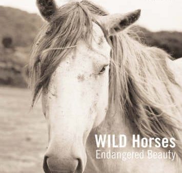 Traer Scott: Wild Horses [2008] hardback Online