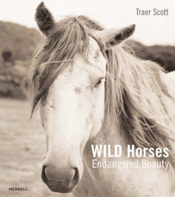 Traer Scott: Wild Horses [2008] hardback Online